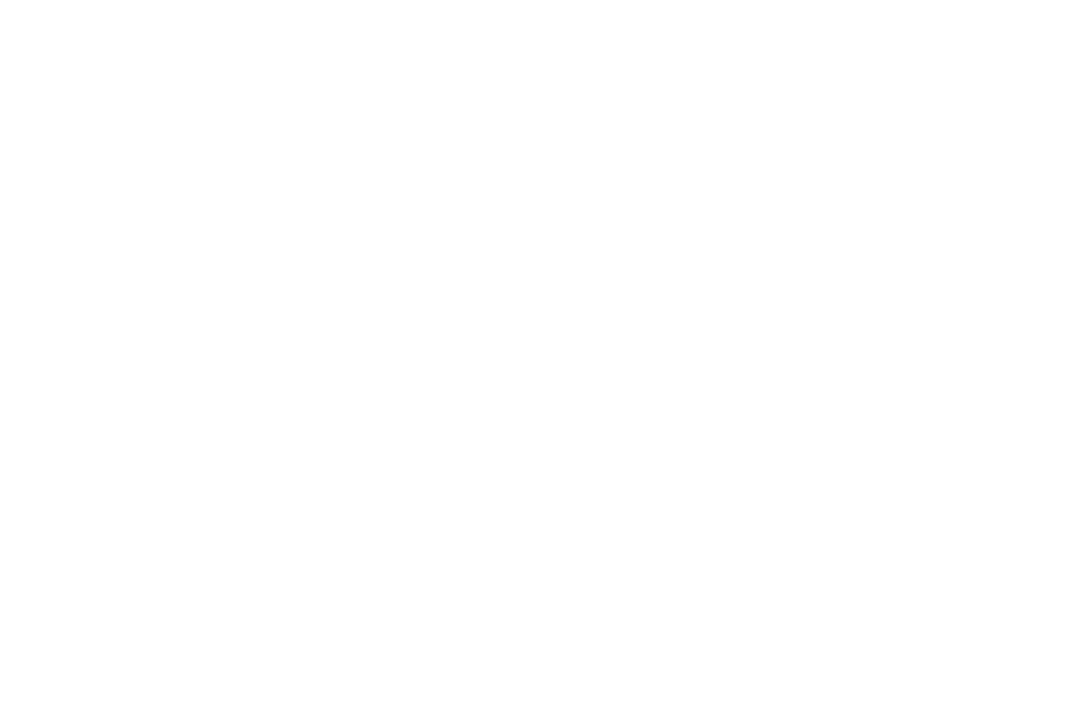 Trader Shii